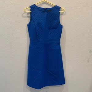 NWOT J.Crew Textured Cotton Dress Blue 2